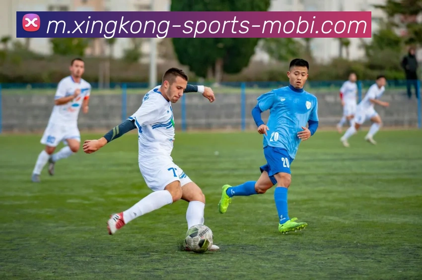 星空体育APP 封面图